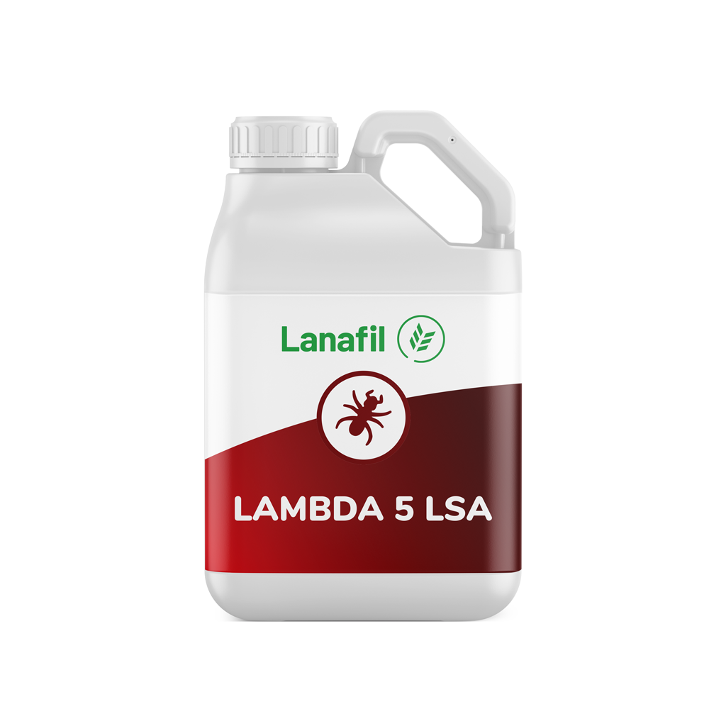 LAMBDA-5-LSA