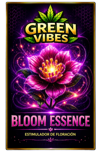Bloom